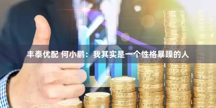丰泰优配 何小鹏：我其实是一个性格暴躁的人